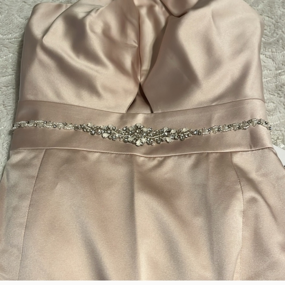 Elegant Pink Evening Dress - Picture 7 of 9